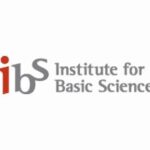 Institute for Basic Science